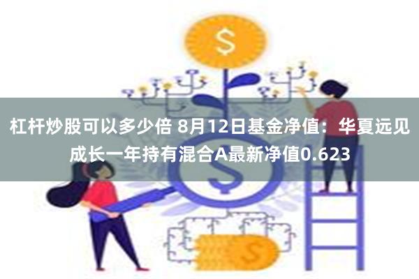 杠杆炒股可以多少倍 8月12日基金净值：华夏远见成长一年持有混合A最新净值0.623