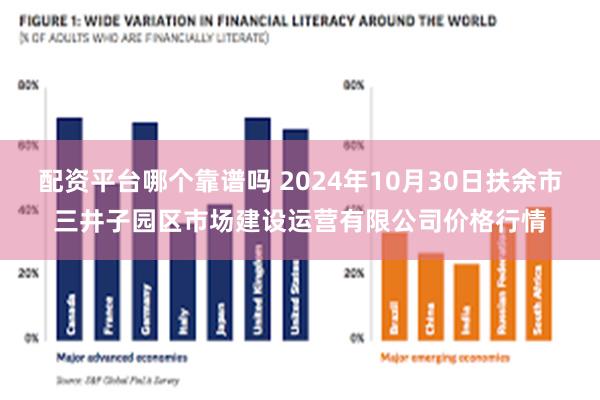 配资平台哪个靠谱吗 2024年10月30日扶余市三井子园区市场建设运营有限公司价格行情