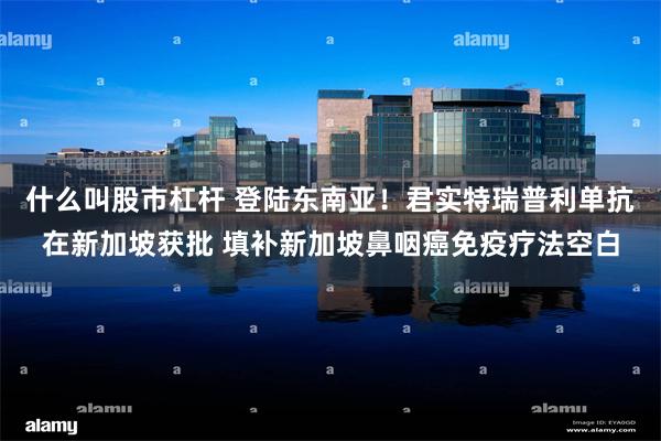 什么叫股市杠杆 登陆东南亚！君实特瑞普利单抗在新加坡获批 填补新加坡鼻咽癌免疫疗法空白