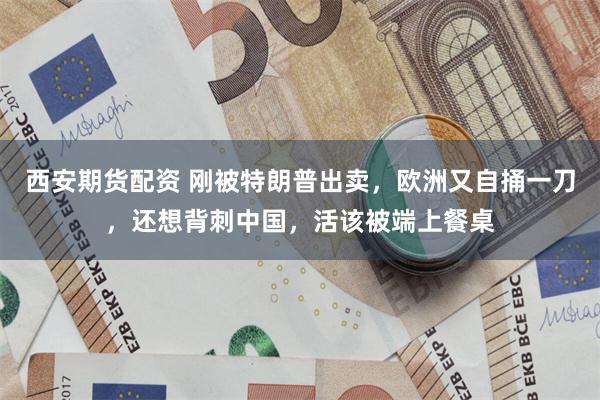 西安期货配资 刚被特朗普出卖，欧洲又自捅一刀，还想背刺中国，活该被端上餐桌