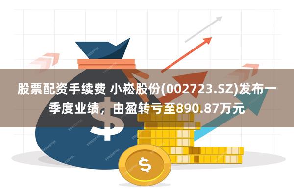 股票配资手续费 小崧股份(002723.SZ)发布一季度业绩，由盈转亏至890.87万元