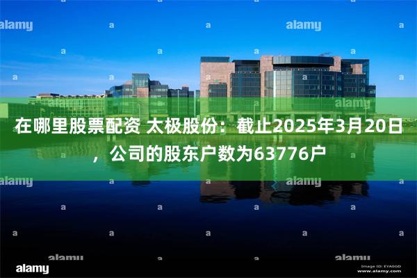 在哪里股票配资 太极股份：截止2025年3月20日，公司的股东户数为63776户